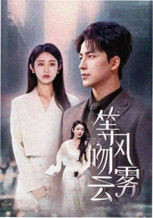 向风而行 视频在线看免费高清电视剧