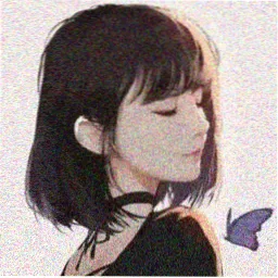 讲师陆知白头像